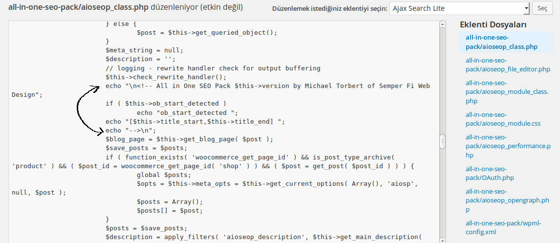 All in one Seo eklenti düzenle